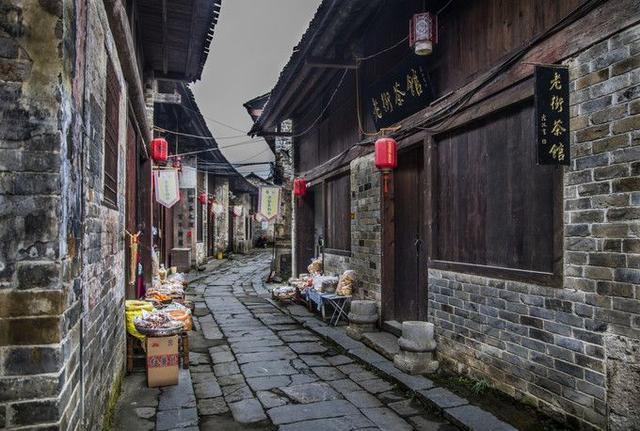 动物帮帮忙保卫家园